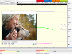 dxsatcs-astra-2g-28-2-e-uk-spot-beam-reception-10964-h-sky-uk-signal-monitoring-4-1-2021-sample03