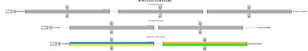 dxsatcs-eutelsat-ka-sat-9a-9-east-ka-band-frequency-plan-downlink-n