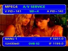 Eutelsat W2A at 10.0 e _ global footprint in the C band_3 951 R dvb s2 Unn. network _IF data