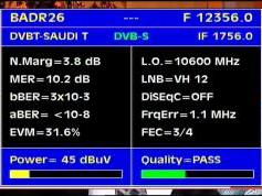 Badr 6 at 26.0 e _ BSS footprint _ 12 356 V Saudi A Netw _ Q data