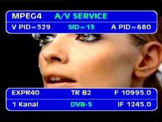 Express AM1 at 40.0°E _  10 995 V MPEG 4 RSCC Network _ VA pids data