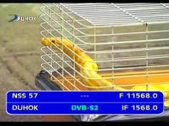 NSS 12 at 57.0 e-middle east and europe beam-11 568 V dvb s2 Duhok tv-IF data