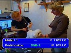 Intelsat 904 at 60.0 e-spot 1 russia-11 051 V Podmoskove-IF data