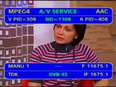 Intelsat 904 at 60.0 e-spot 1 russia-11 675 V packet Rikor tv-IF data