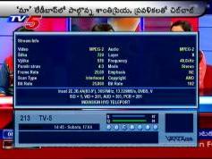 relative q 03