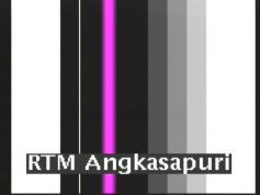 feed 1 testcard RTM Angasapuri 3 876 V Measat 3 at 91.5E C band