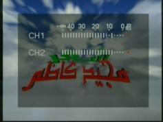 feeds Beladii 11 014 MHz V pol Middle East beam INT 902 62E 10